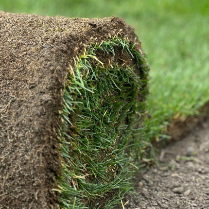 Woofpad Loft Medium (45 × 65 cm)