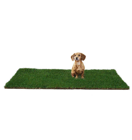 Banner image for: <h3>GRASS WOOFPAD</h3>