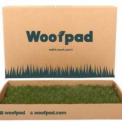 Collection image for: Home page